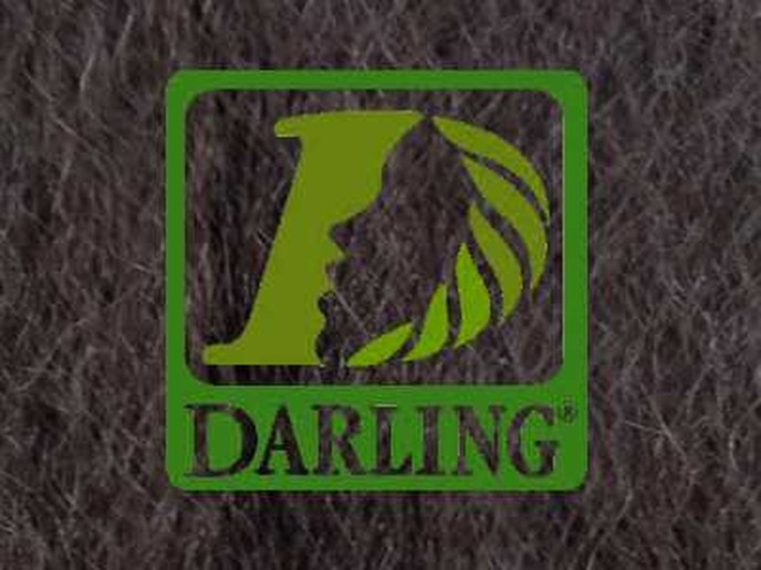 Darling Xpression - T4
