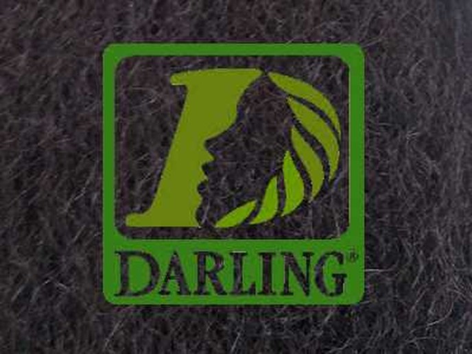 Darling Xpression - T2