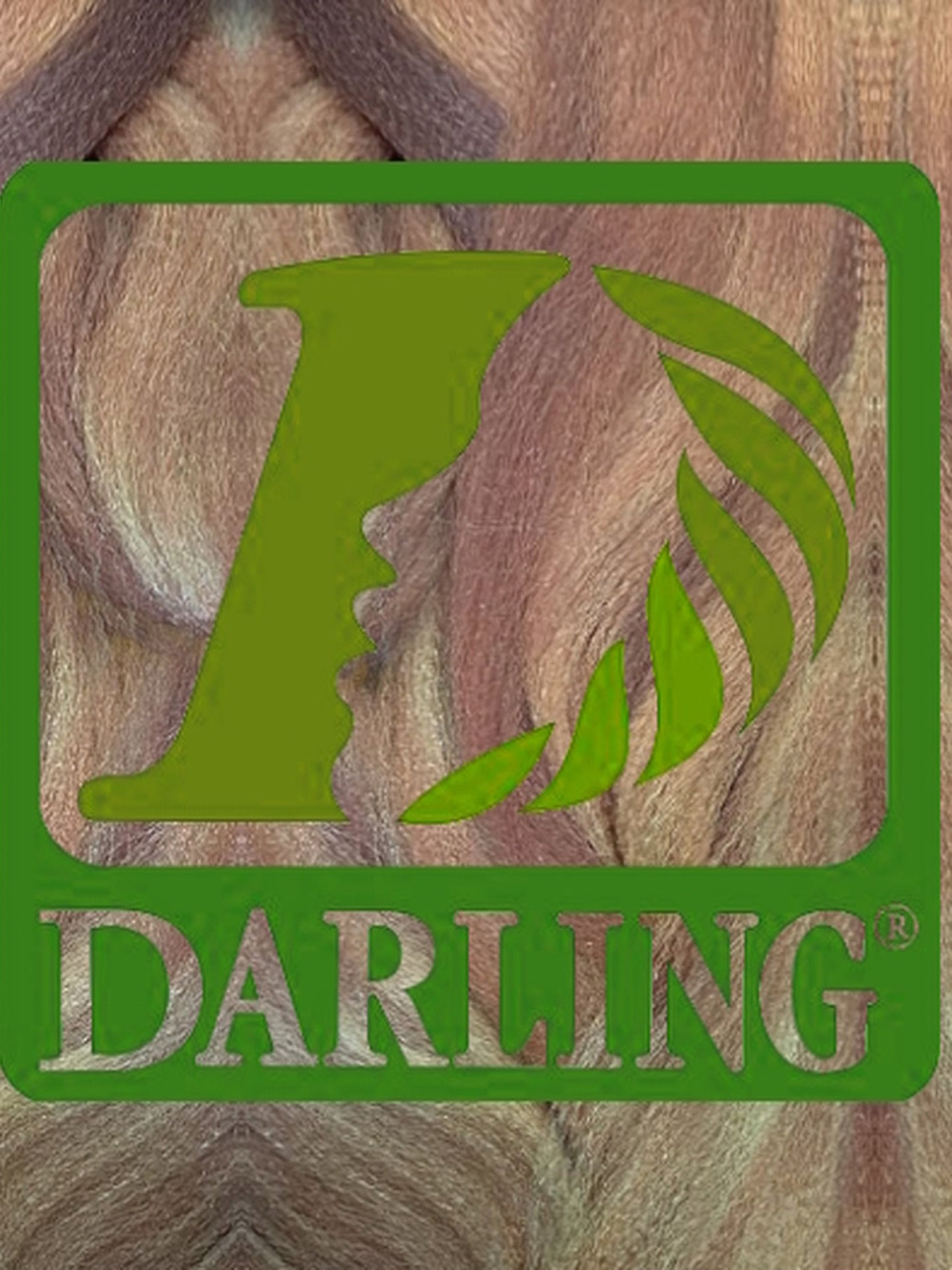 Darling Xpression - Mix Brown