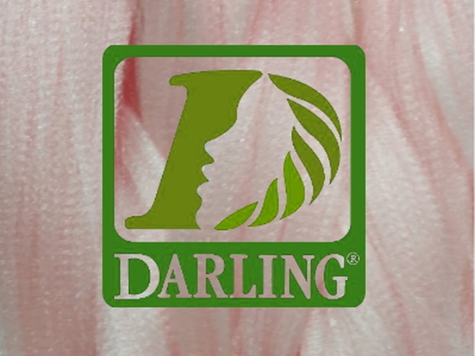 Darling Xpression no Rose