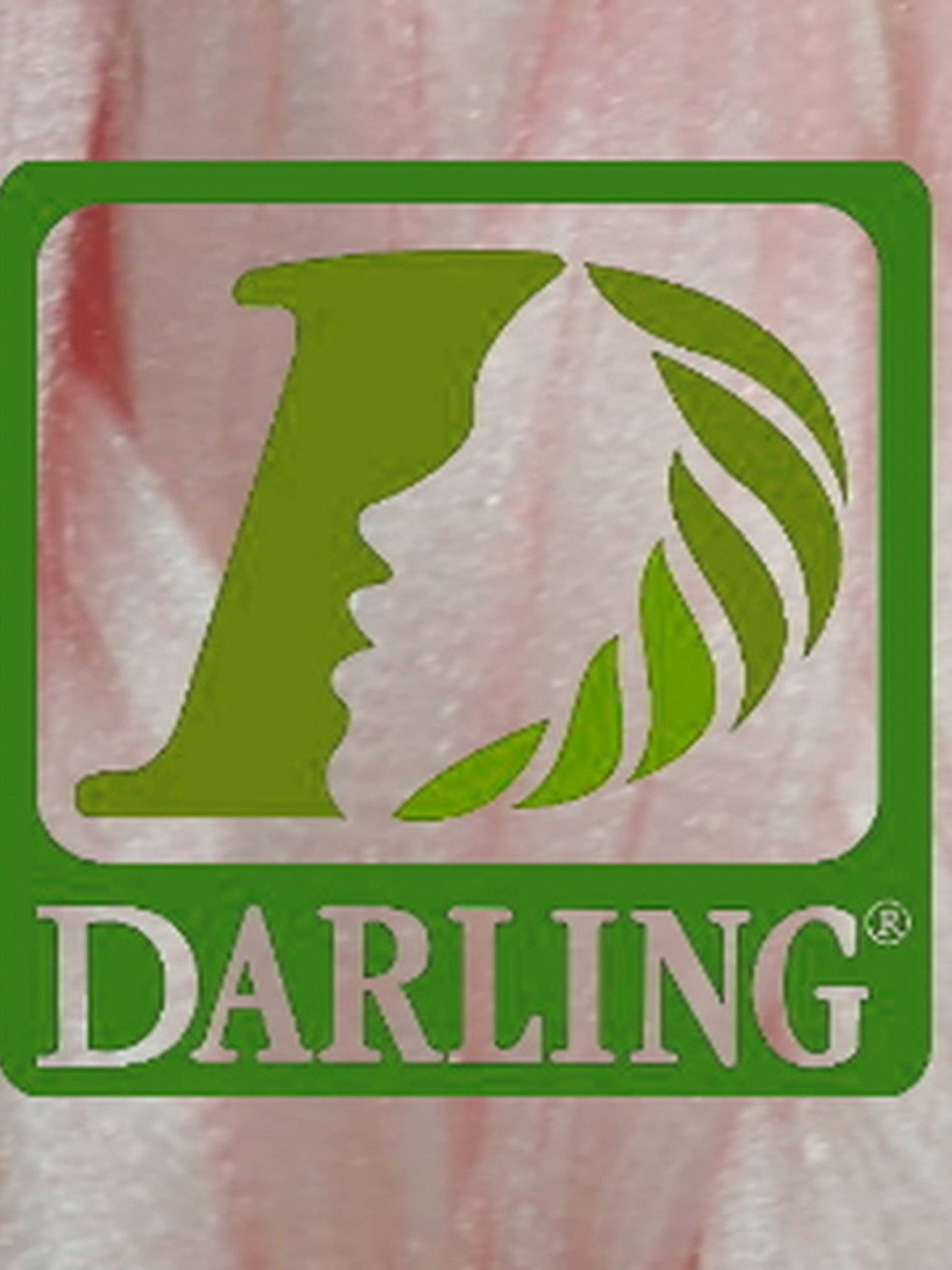 Darling Xpression no Rose