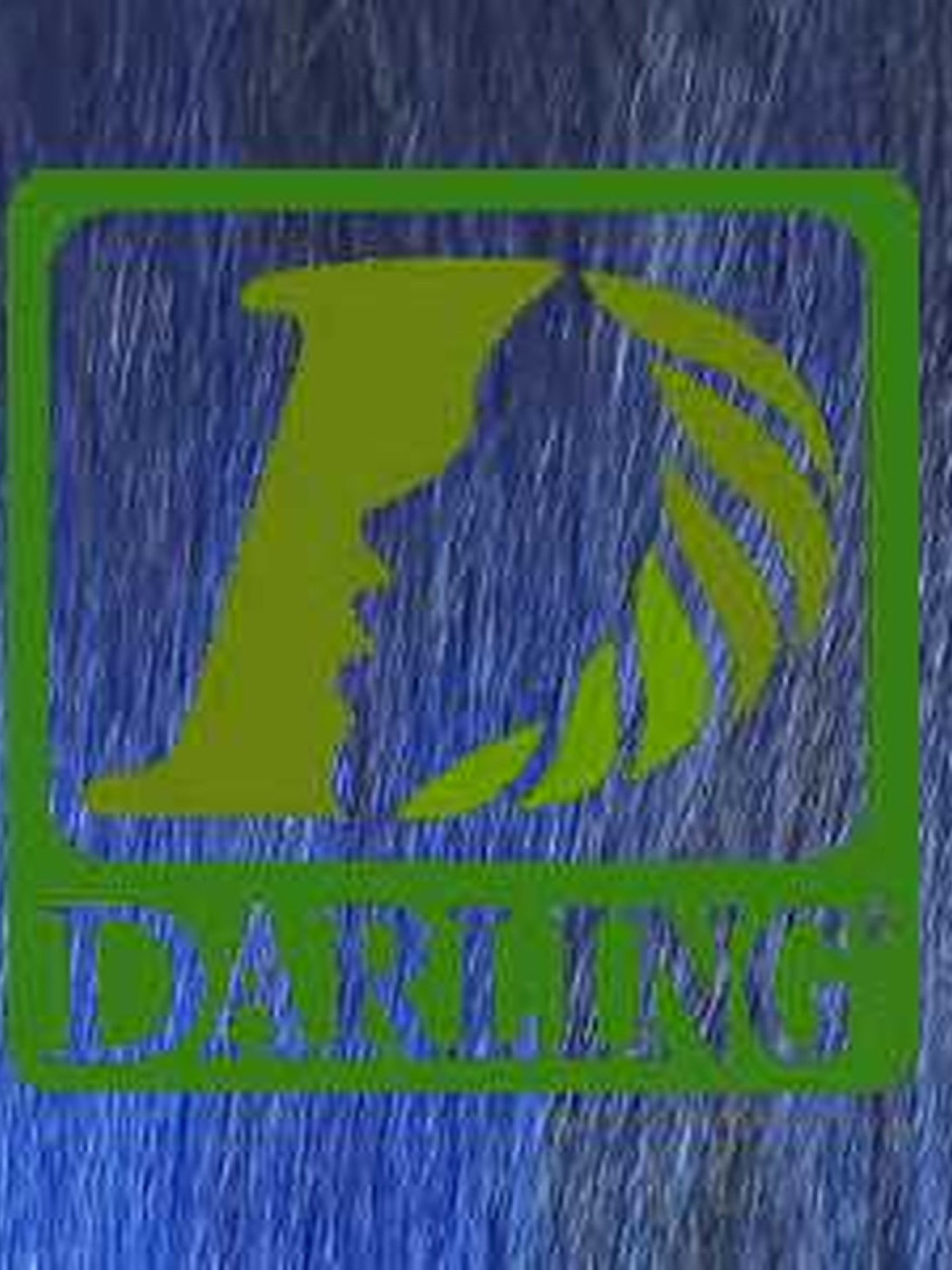 Darling Xpression - T2/Bleu
