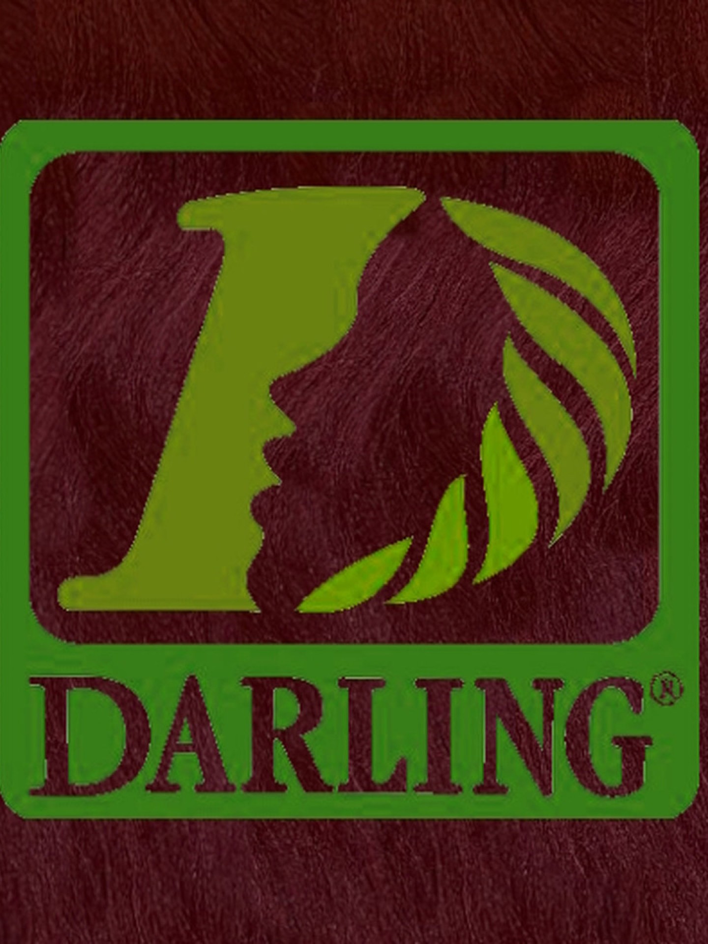 Darling Xpression - T39