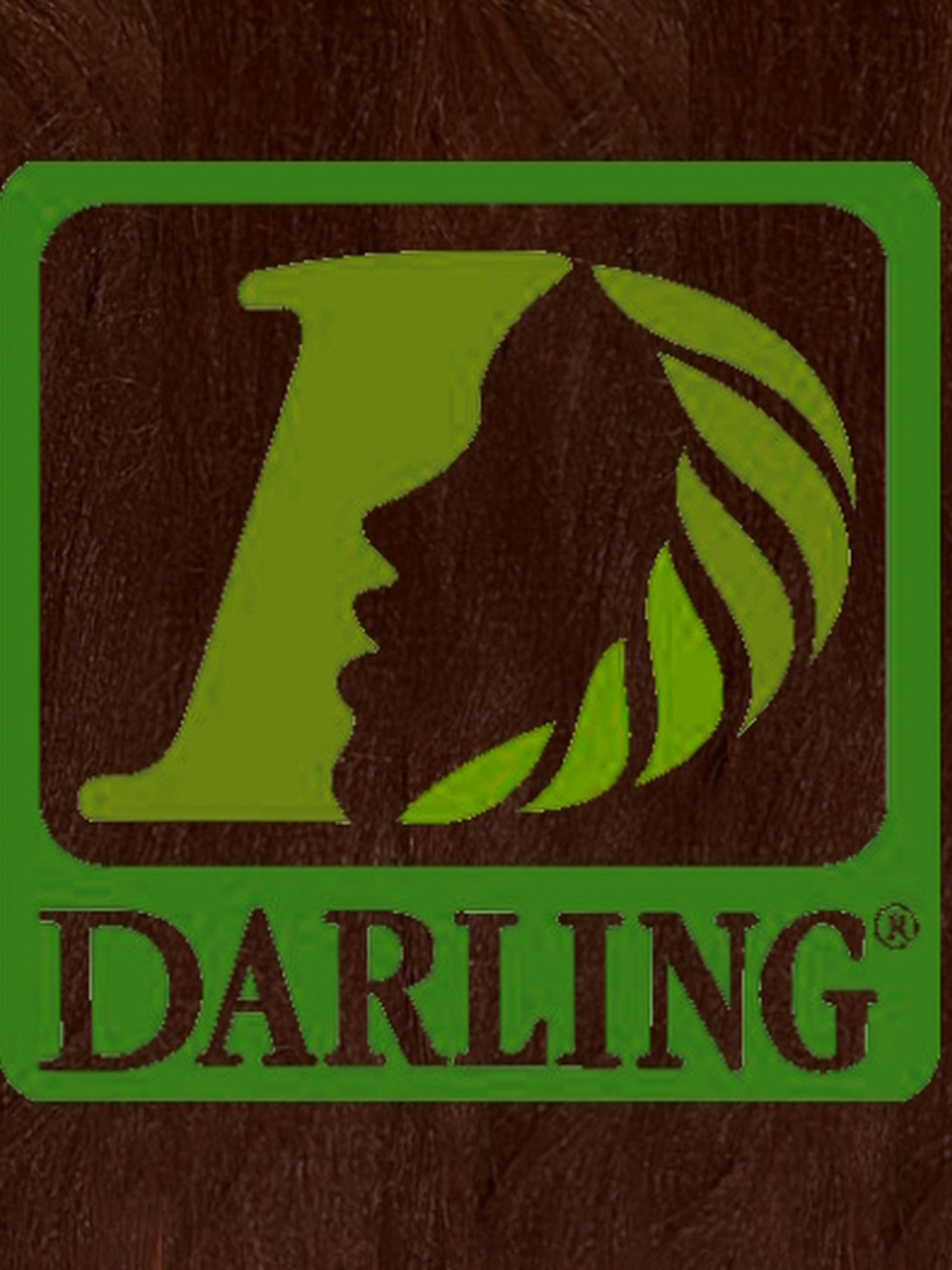 Darling Xpression - T35