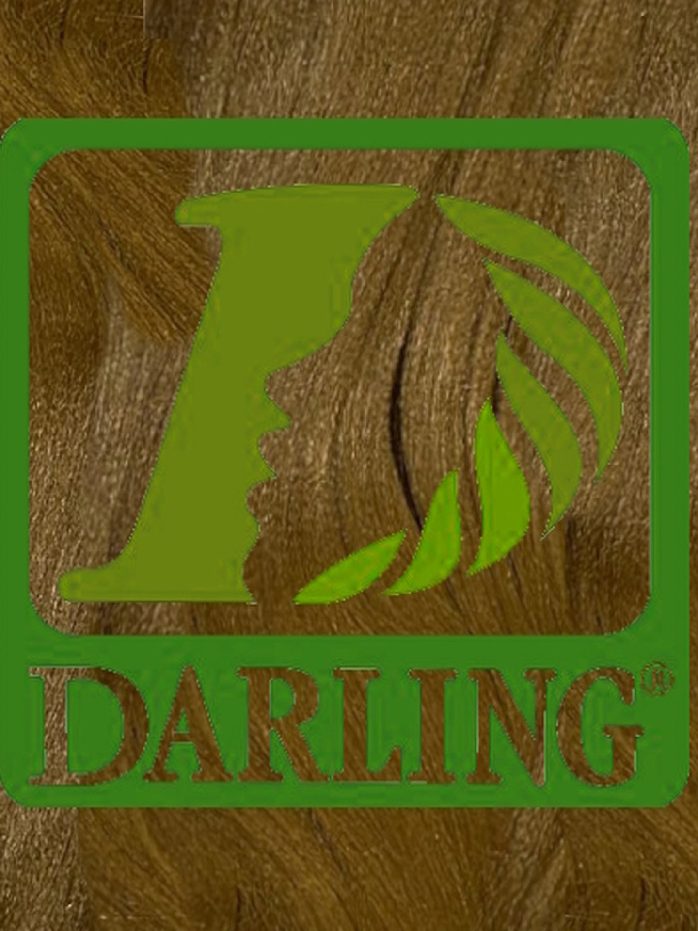 Darling Xpression - T27