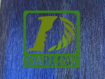 Darling Xpression - T2/Bleu