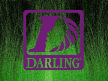 Darling Jumbo Braid - T2/Vert
