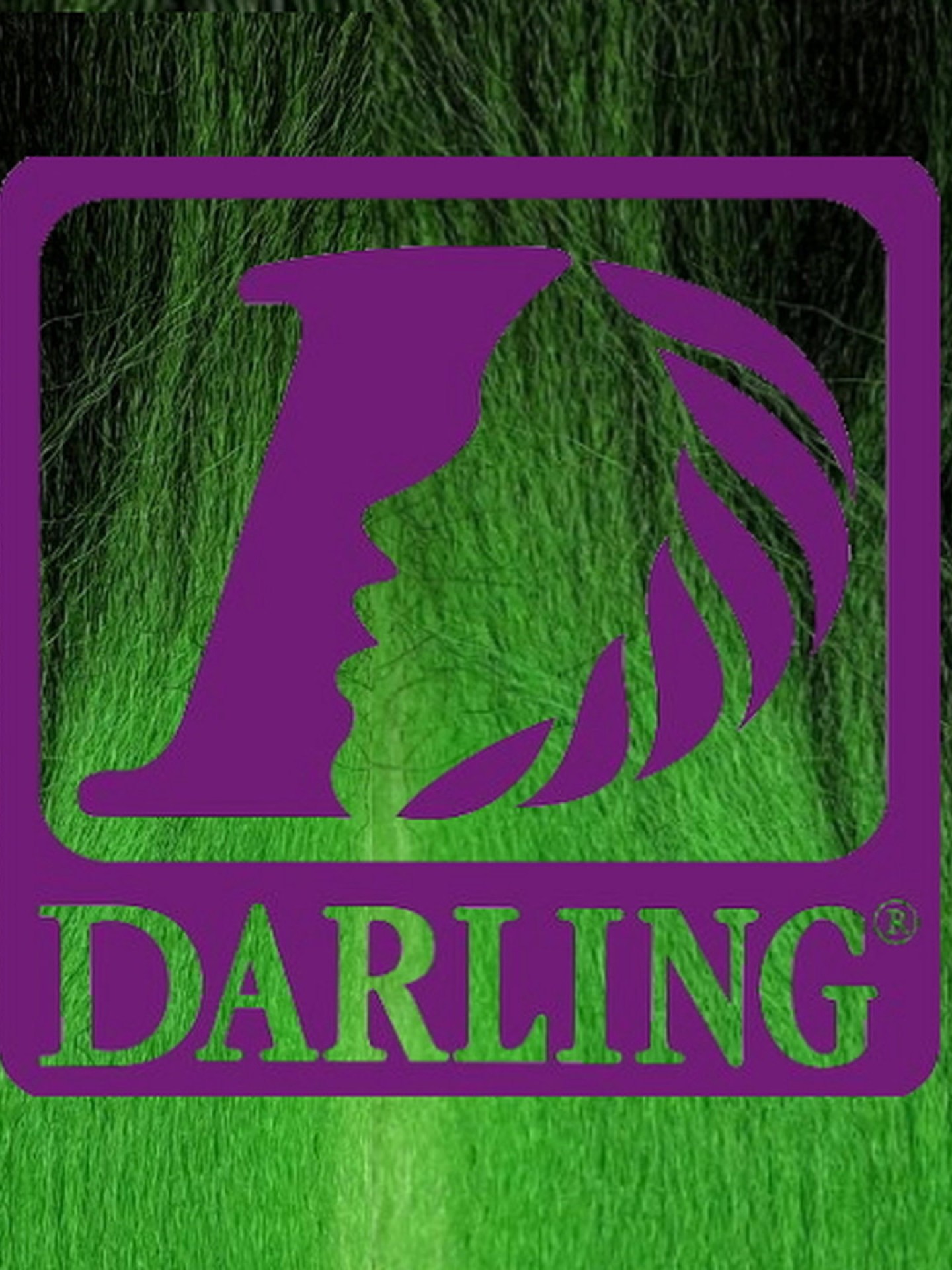Darling Jumbo Braid - T2/Vert
