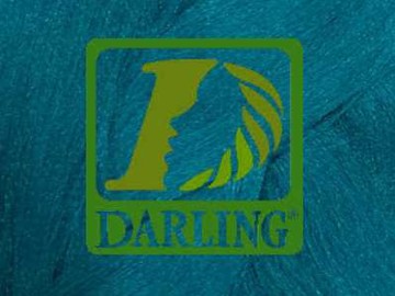 Darling Xpression - TTURQUOISE