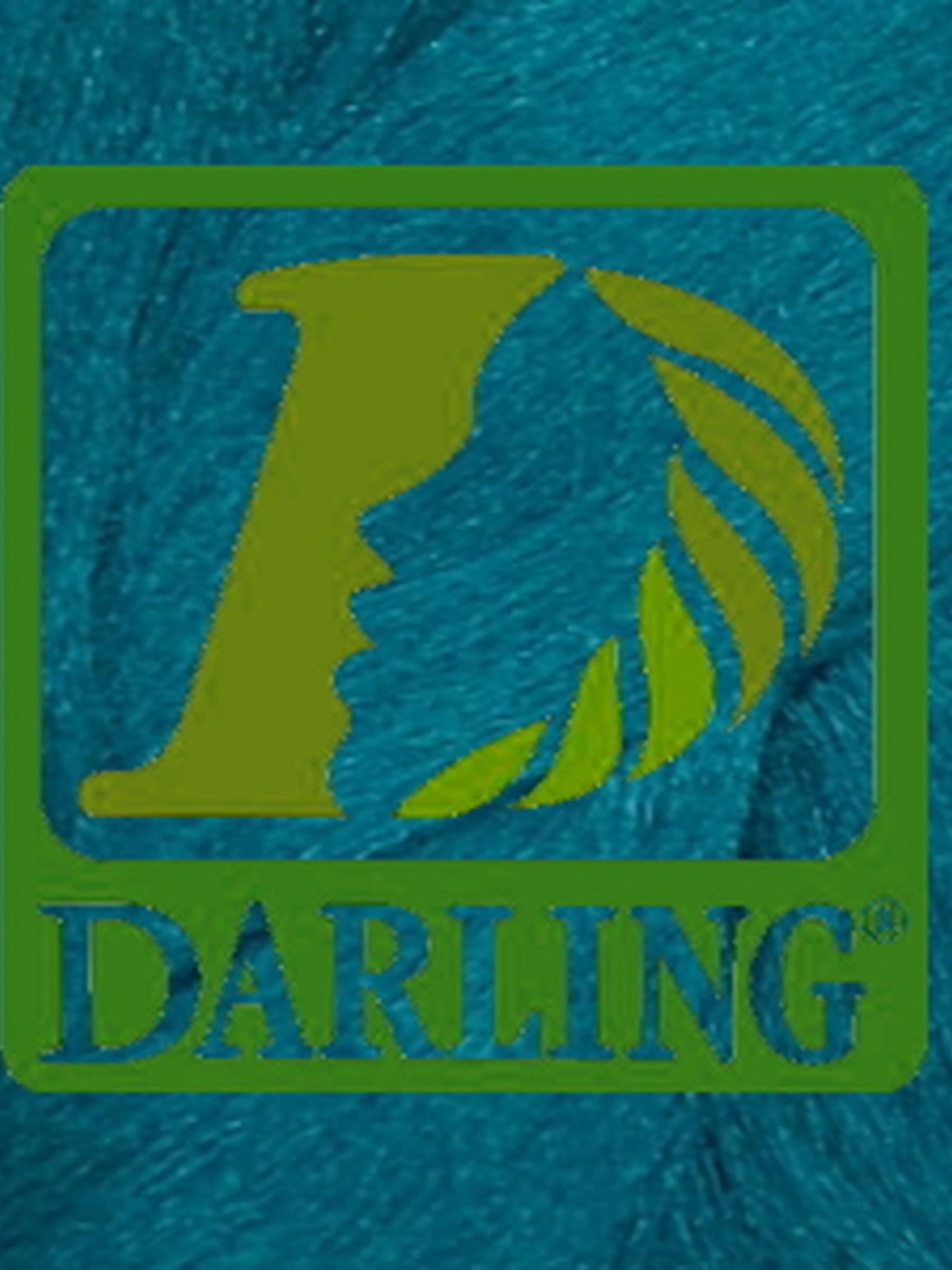 Darling Xpression - Turquoise