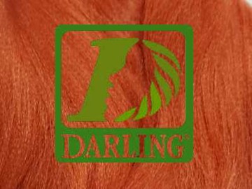 Darling Xpression - TORANGE