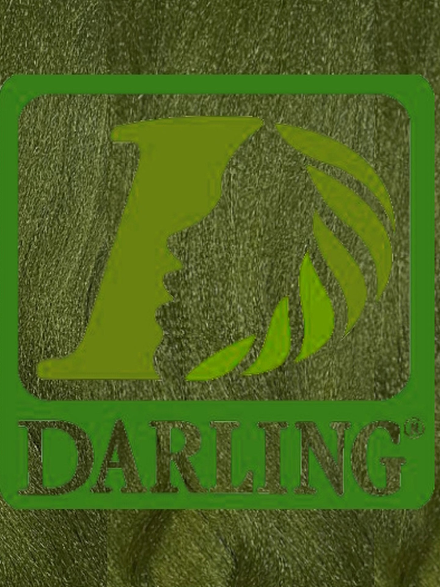 Darling Xpression - TVERT OLIVE