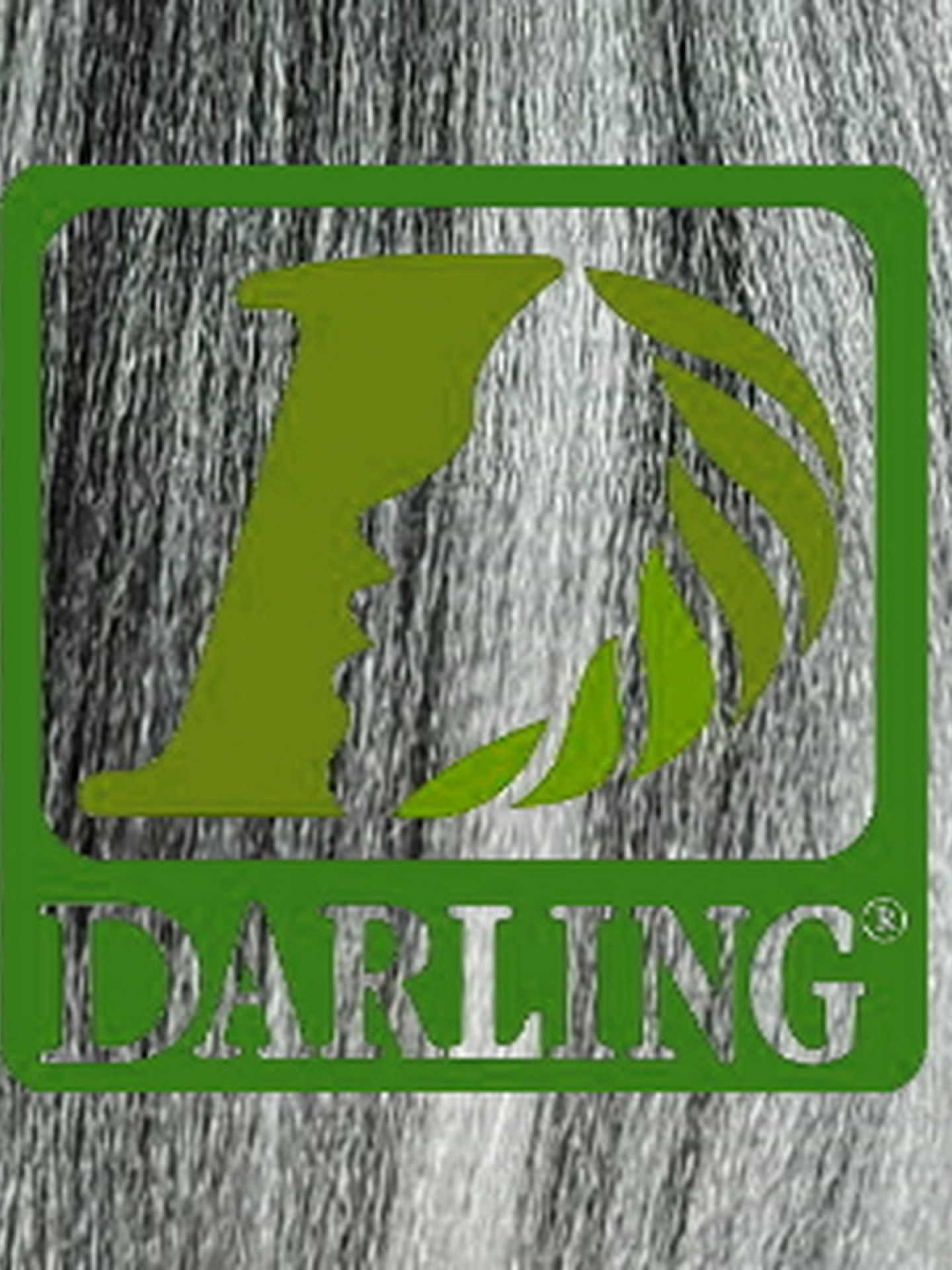Darling Xpression - T2/60