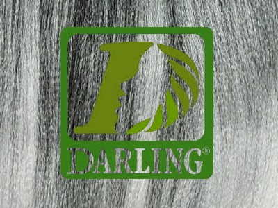 Darling Xpression - T2/60 - Image product
