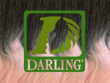 Darling Xpression - T2/ROSE