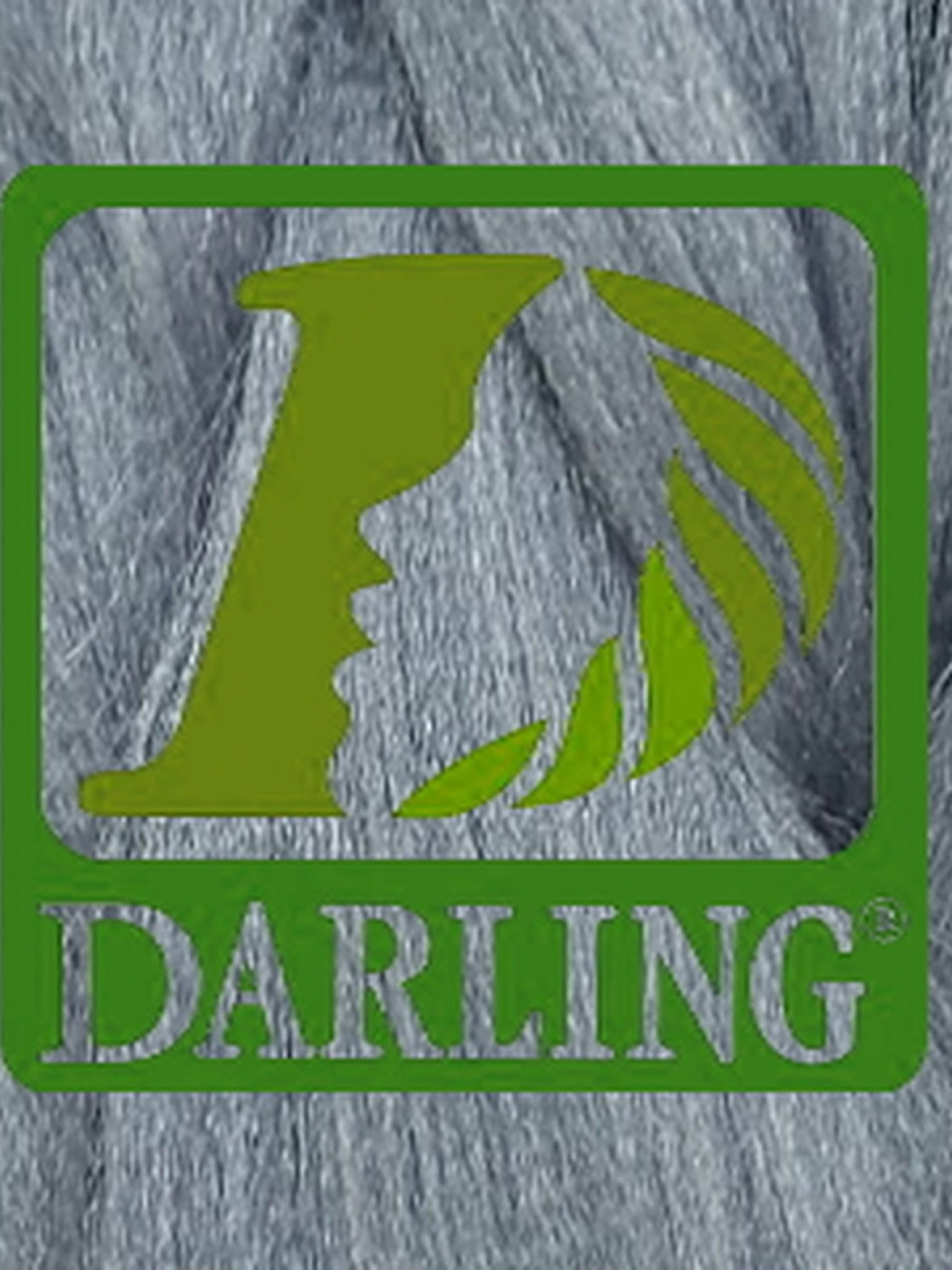Darling Xpression - GRIS