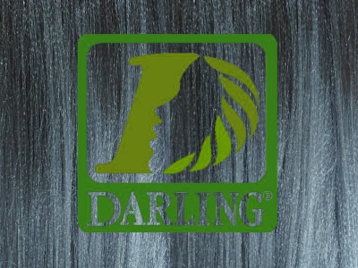 Darling Xpression - T2/Gris - Image product