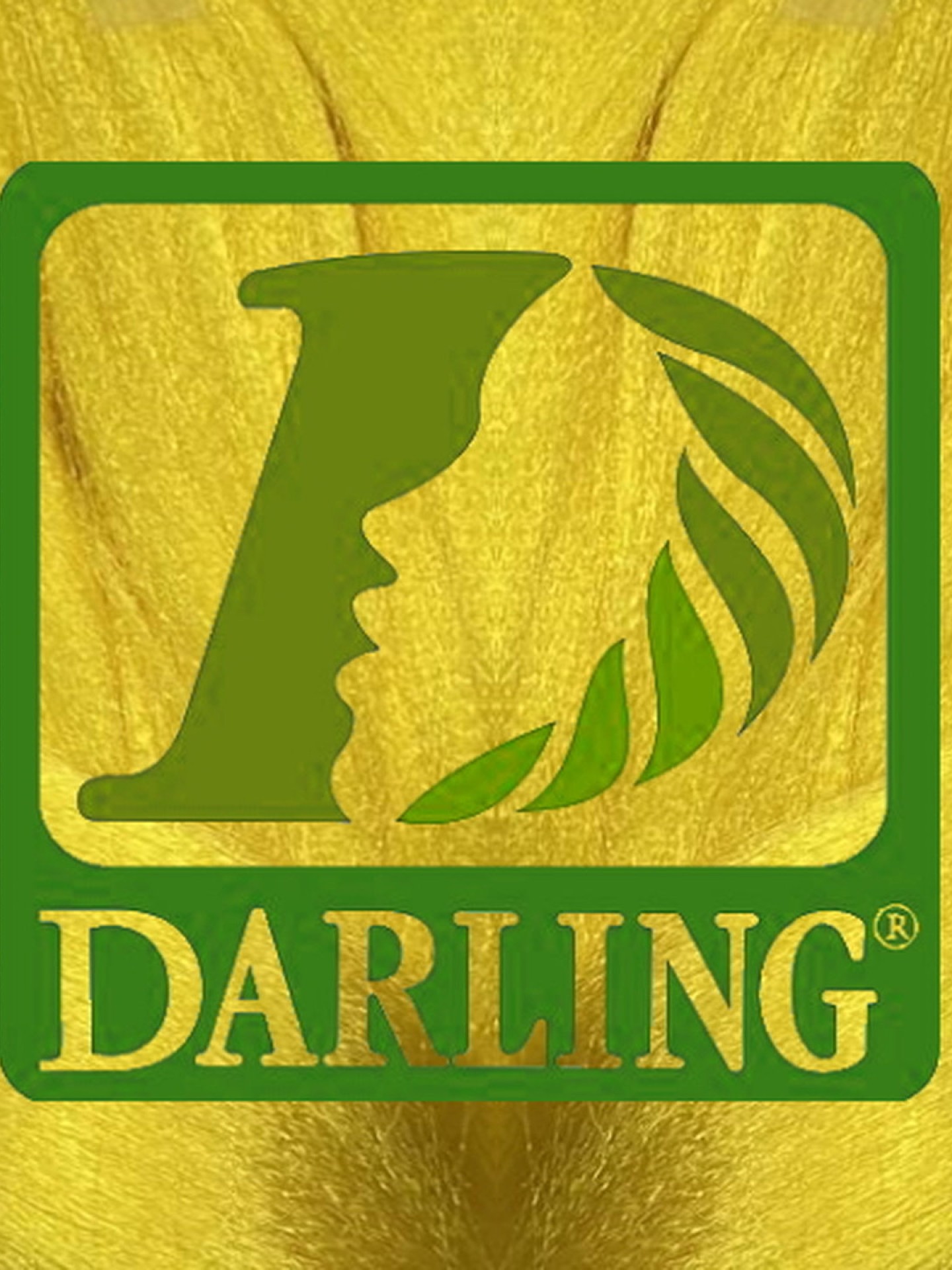 Darling Xpression - JAUNE