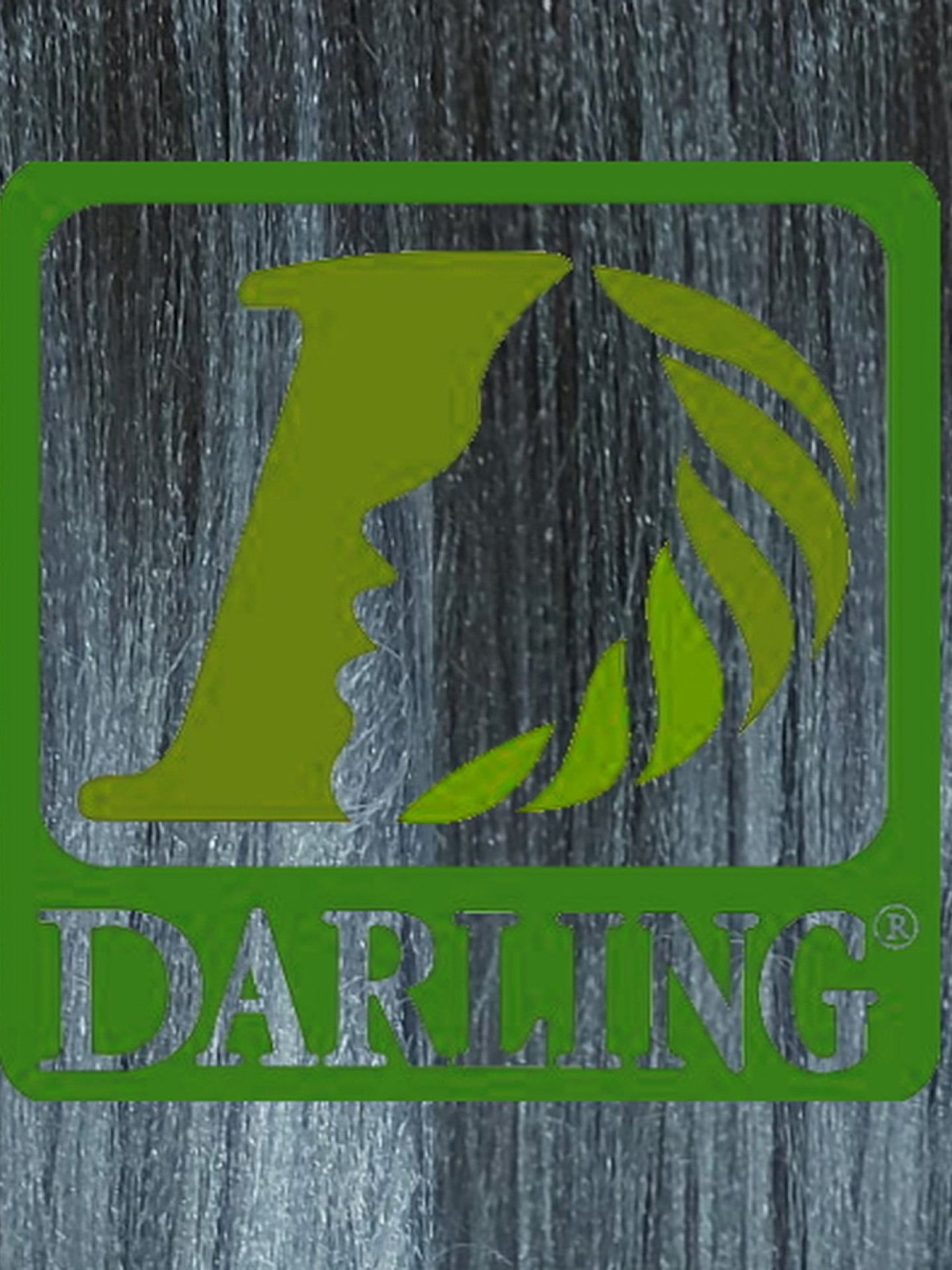 Darling Xpression - T2/Gris