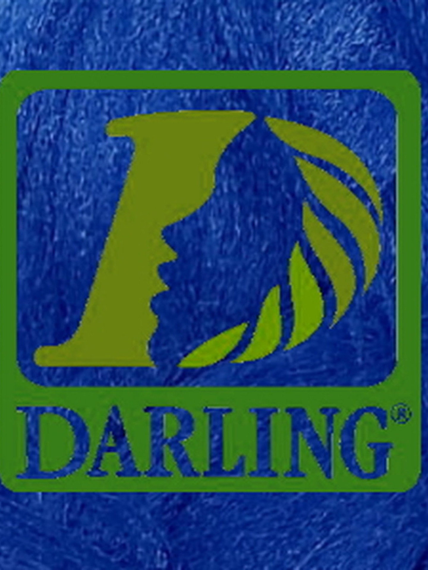 Darling Xpression - Bleu