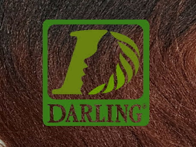 Darling Xpression no T2/35