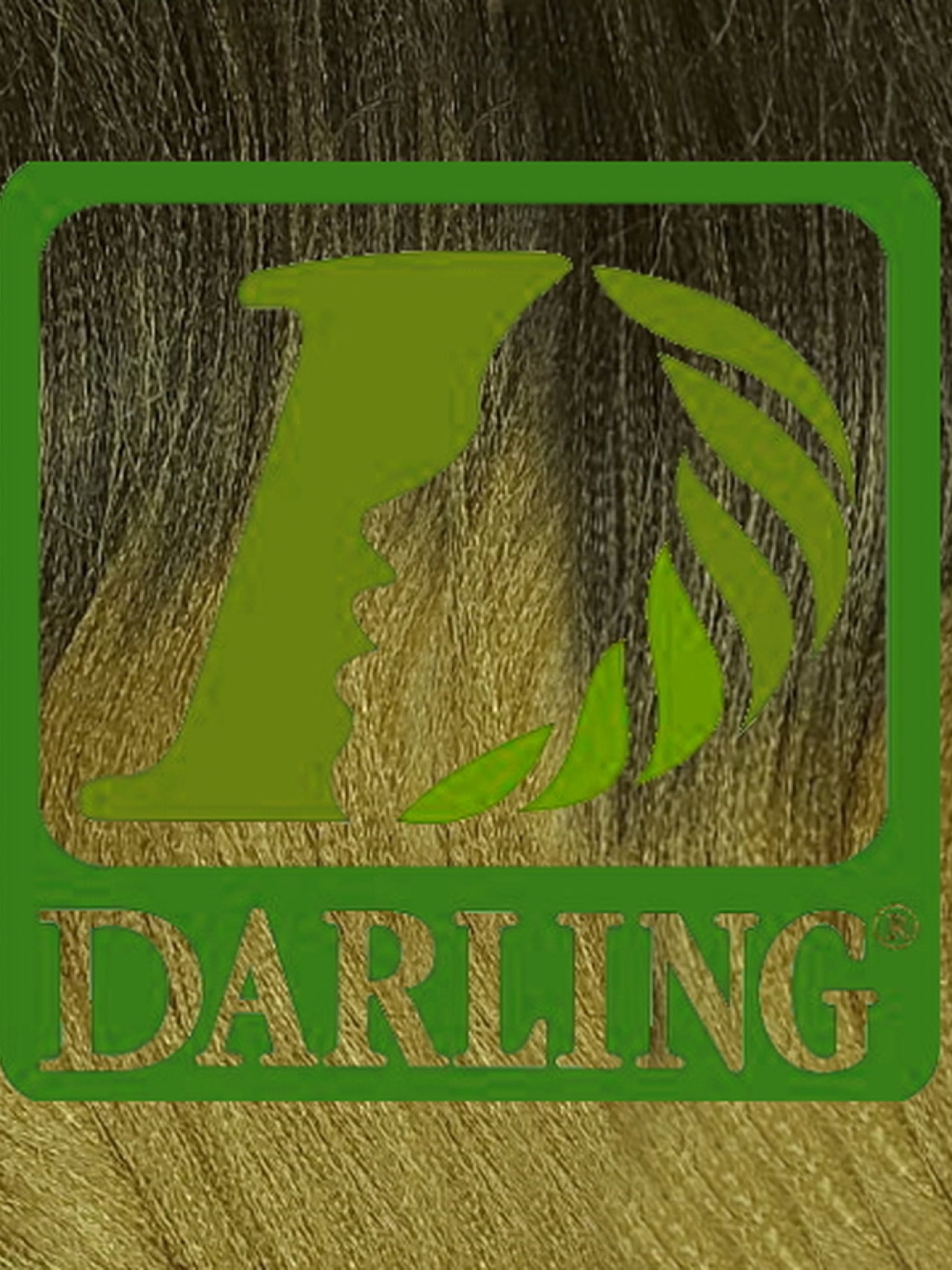 Darling Xpression no T4/27
