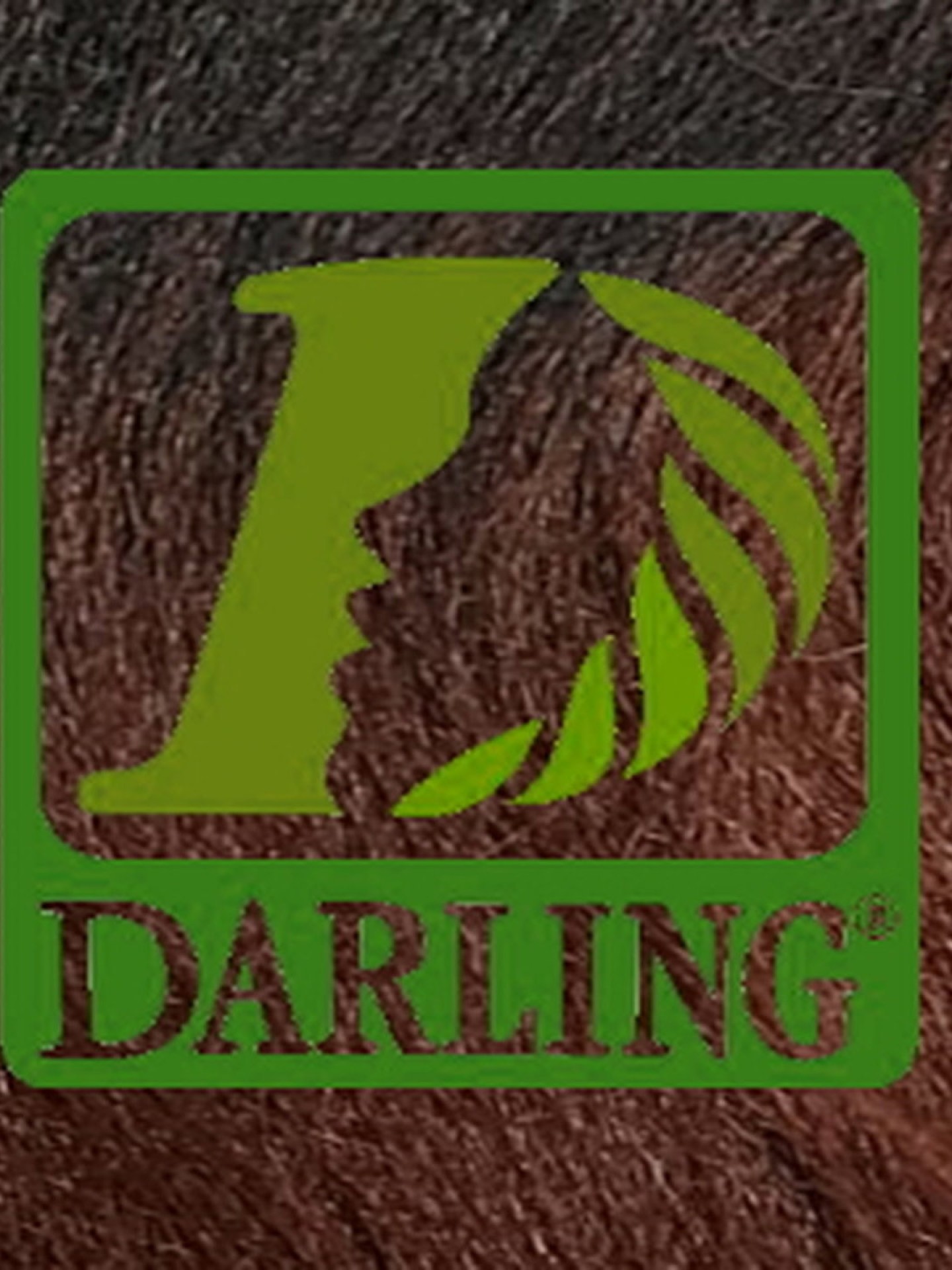 Darling Xpression no T2/35