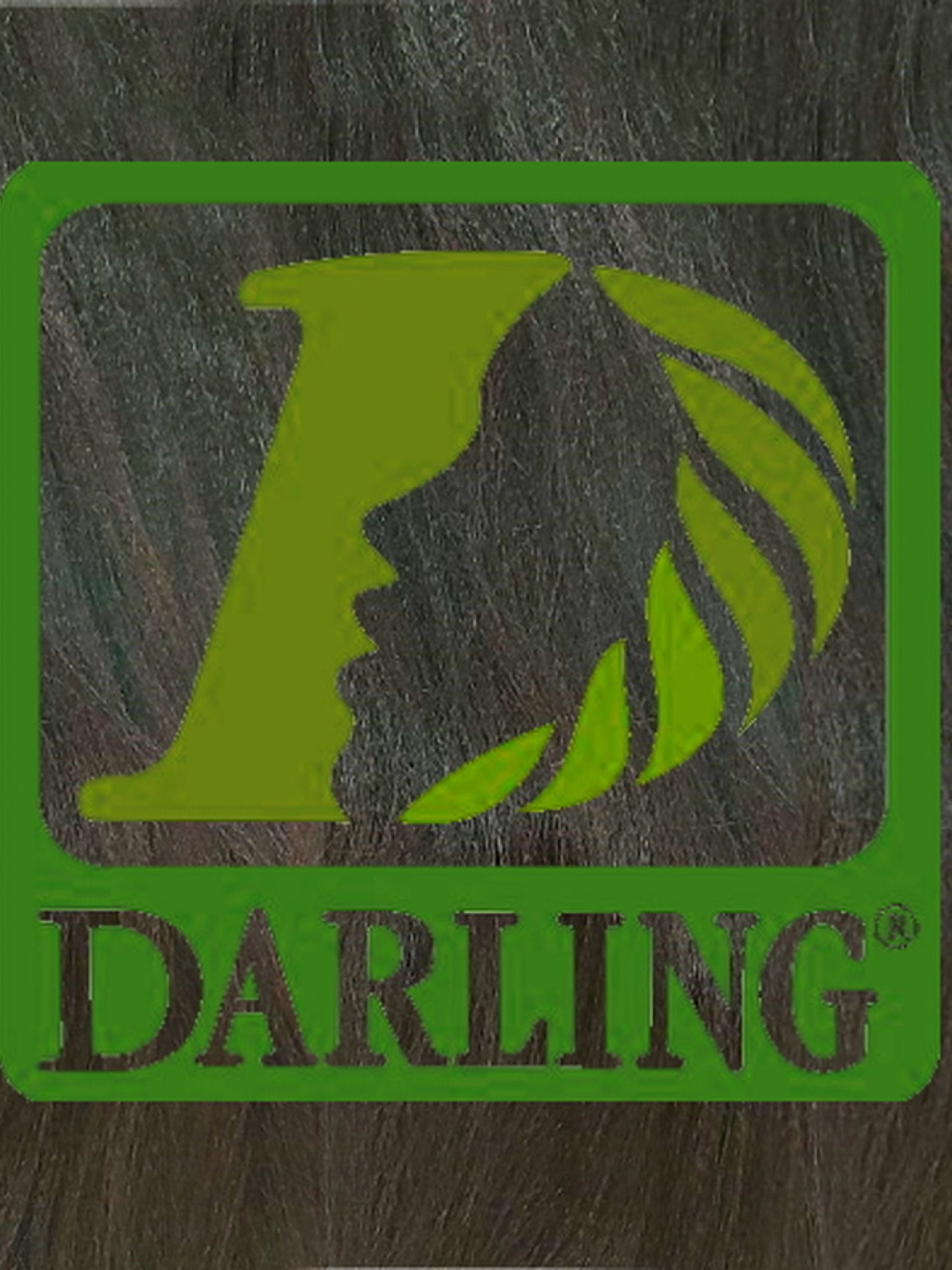 Darling Xpression no T2/33