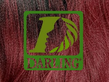 Darling Xpression no T2/39