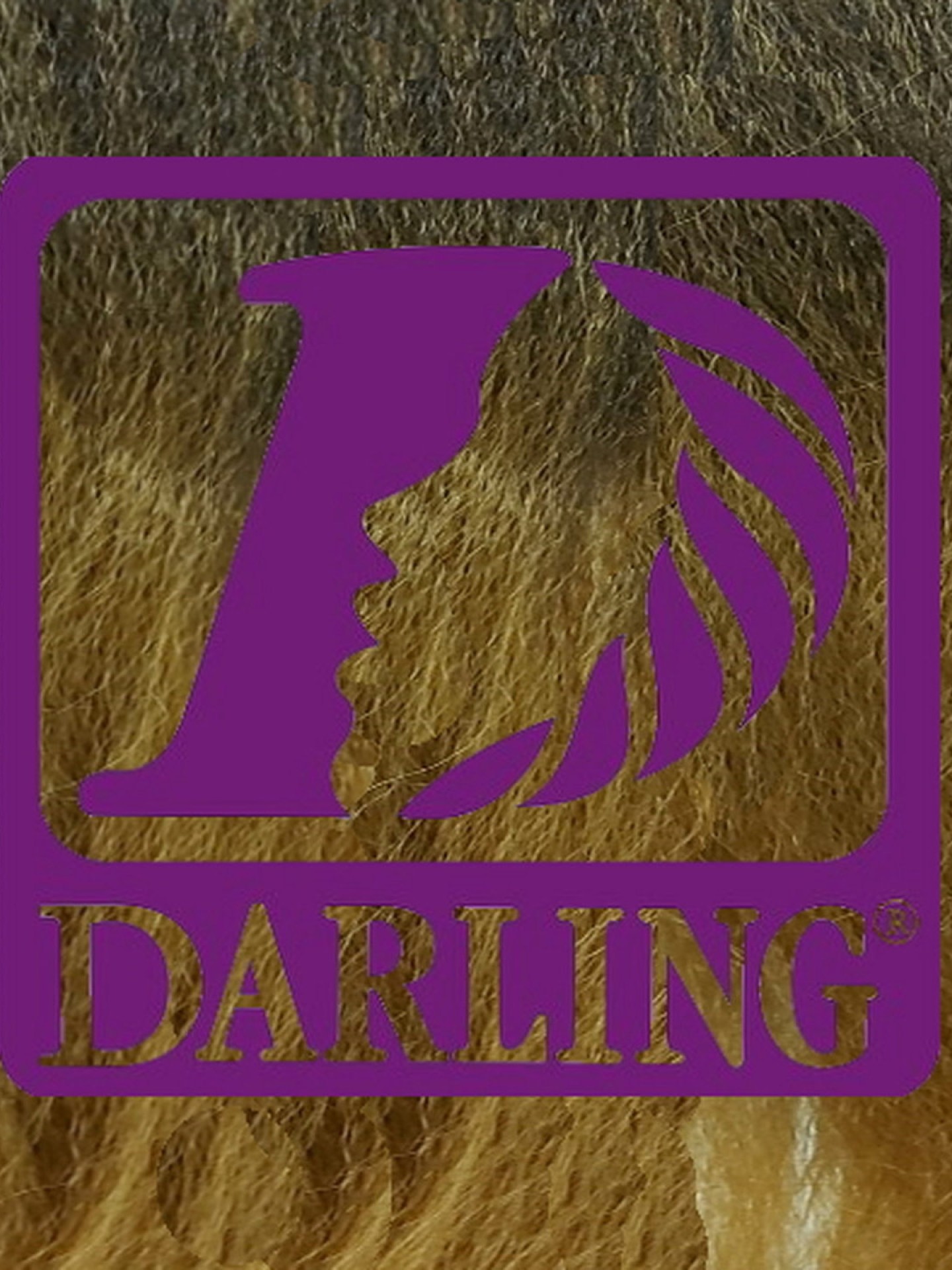 Darling Jumbo Braid - T4/27