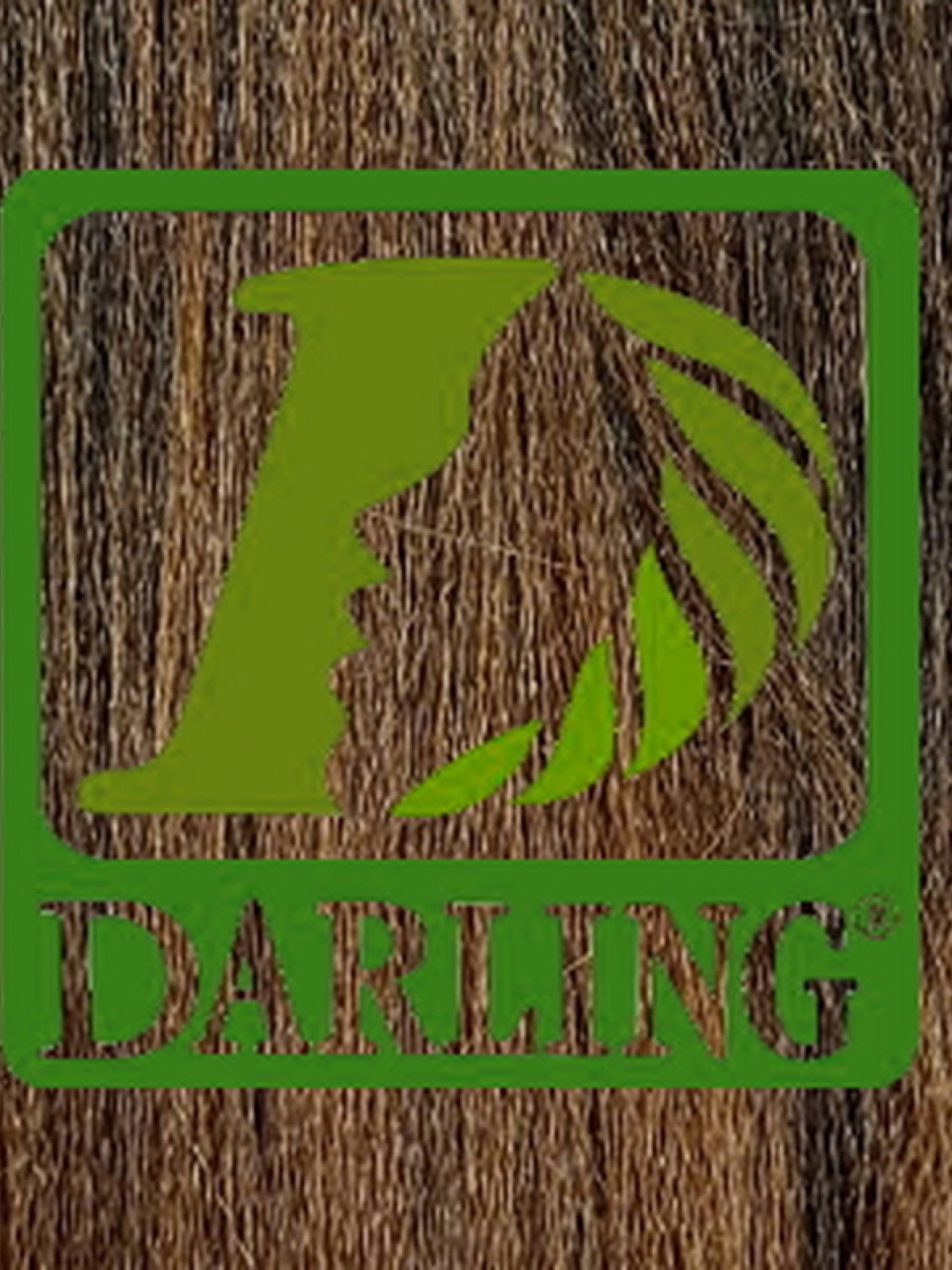 Darling Xpression no T2/30