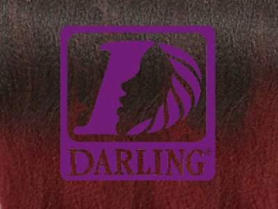 Darling Jumbo Braid - T2/39 - Image product