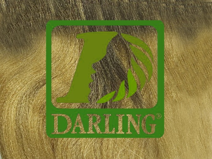 Darling Xpression no T2/27