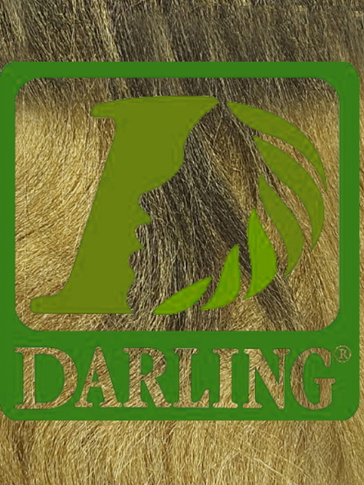 Darling Xpression no T2/27