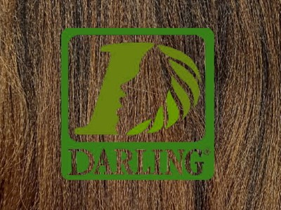 Darling Xpression no T2/30 - Image product