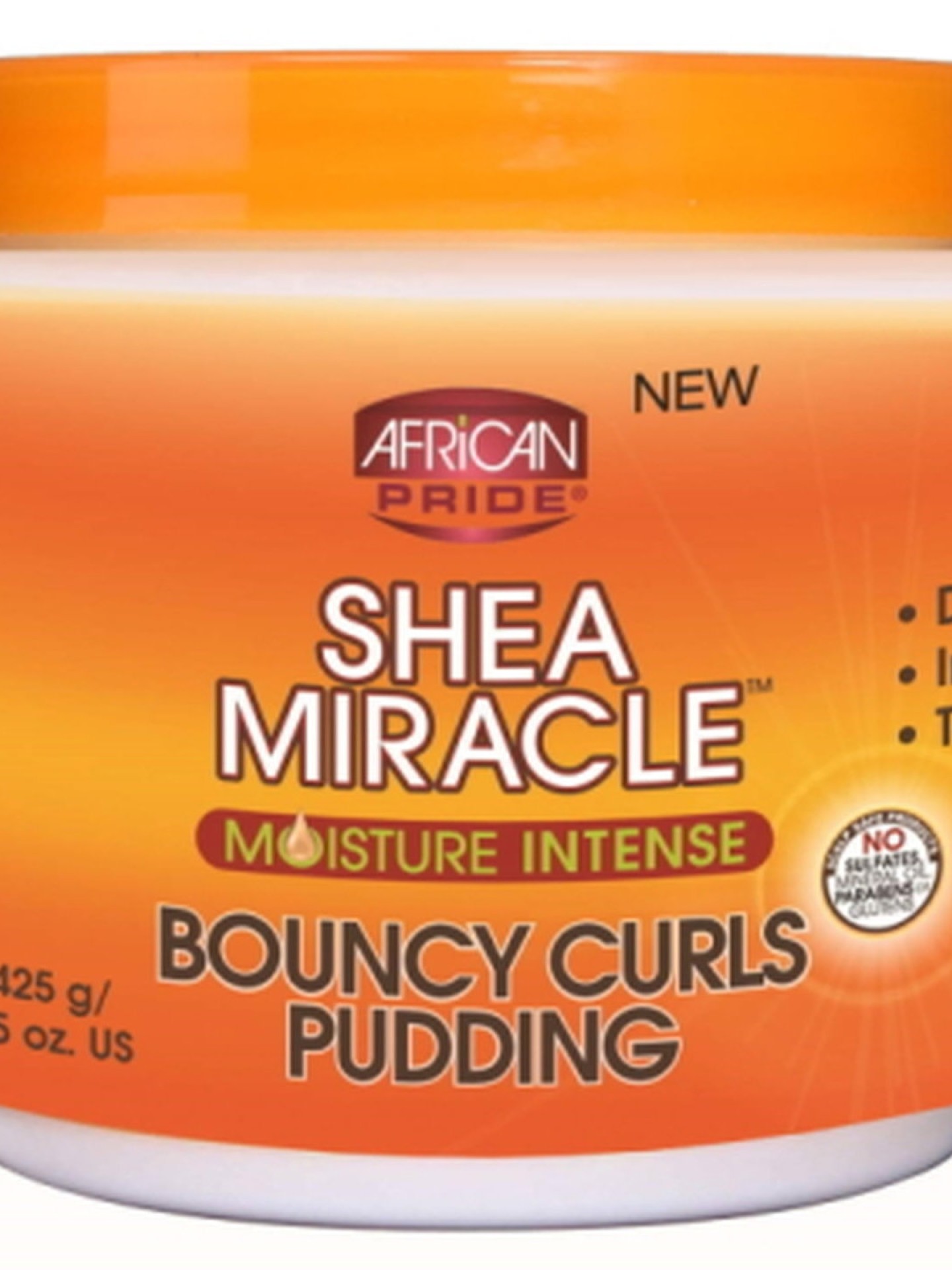 AP Shea Butter Bouncy Curls Pudding 15oz