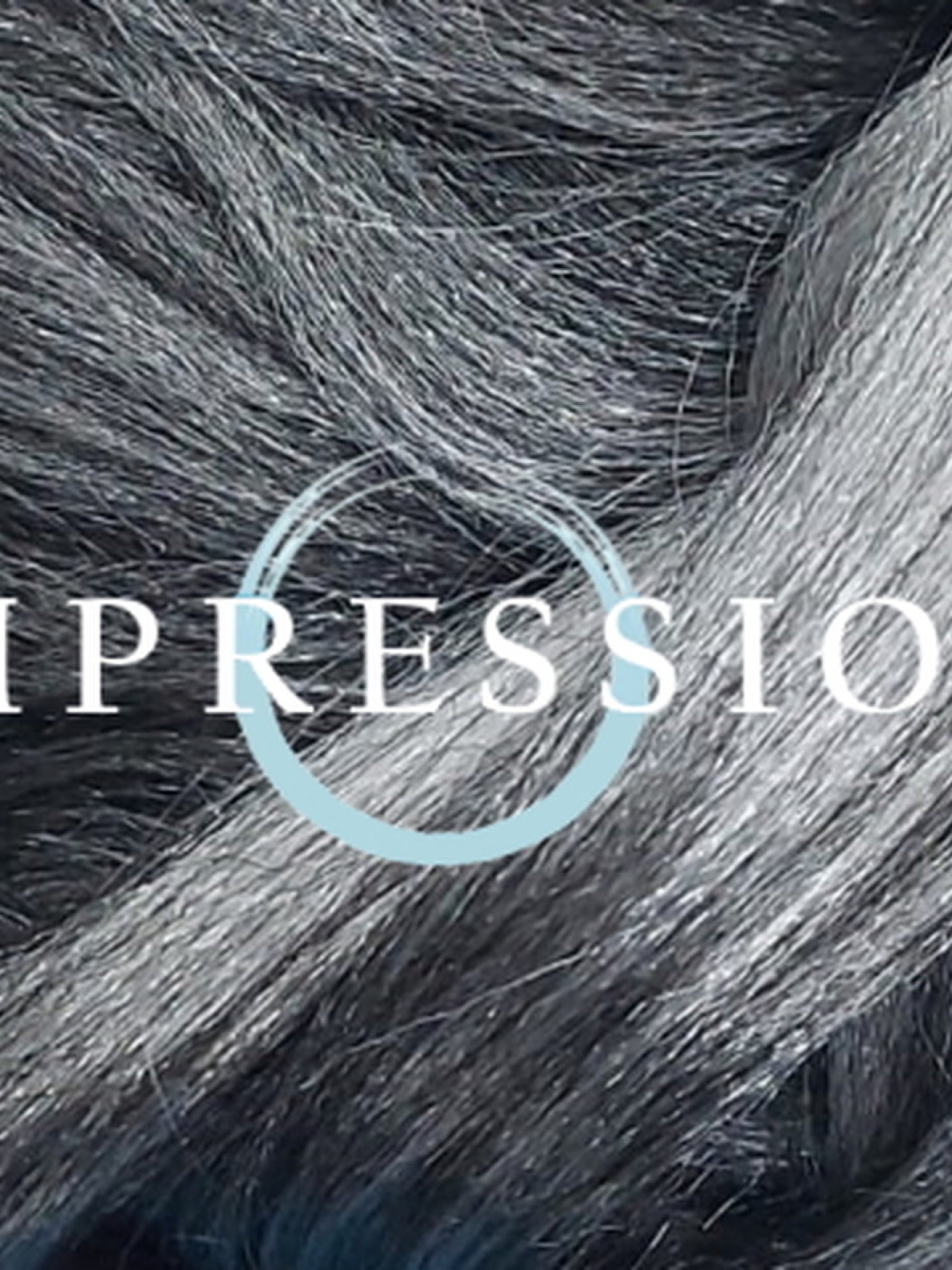 Impression Super Braid - T1B/60