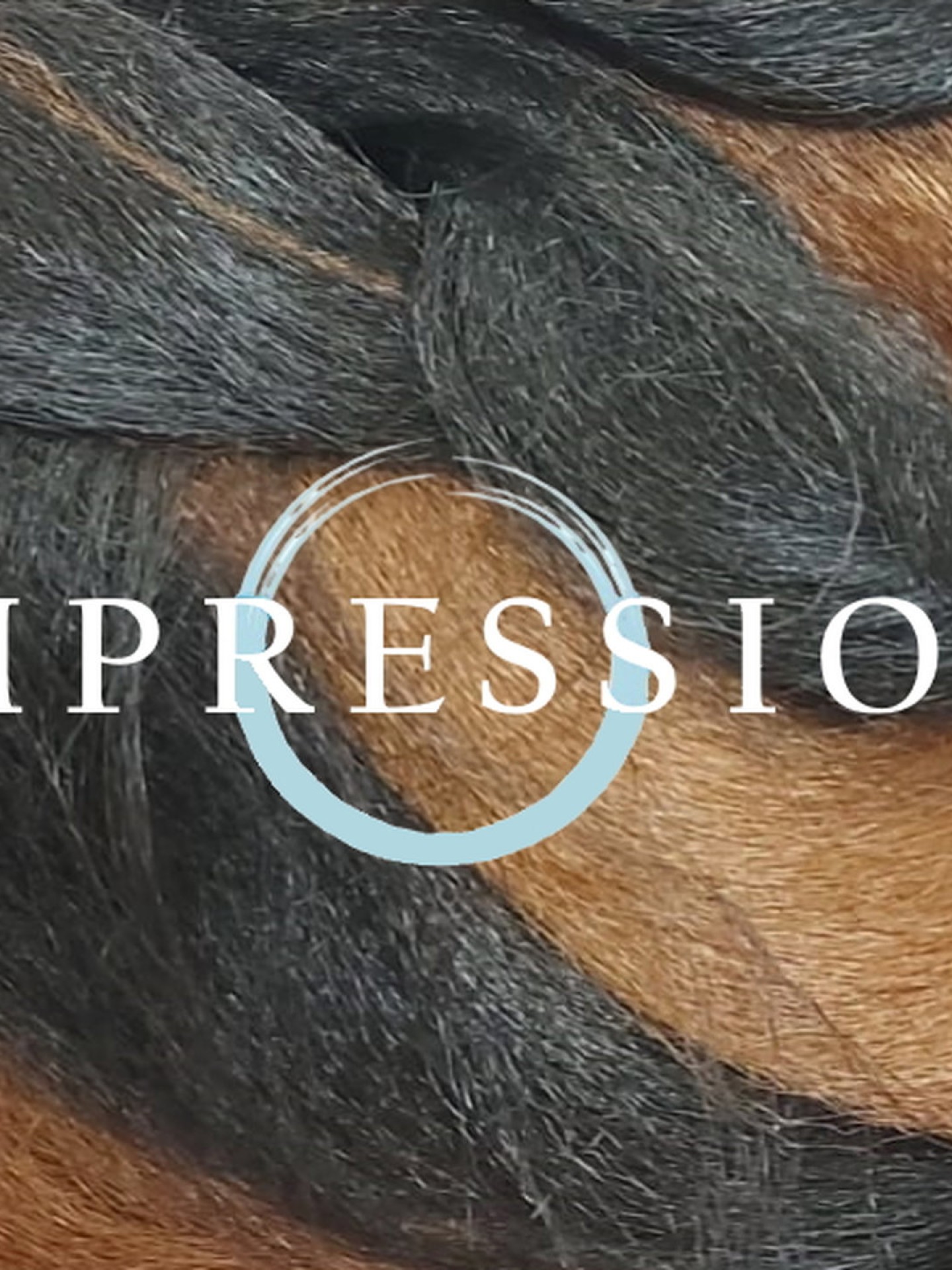 Impression Super Braid - P4/30