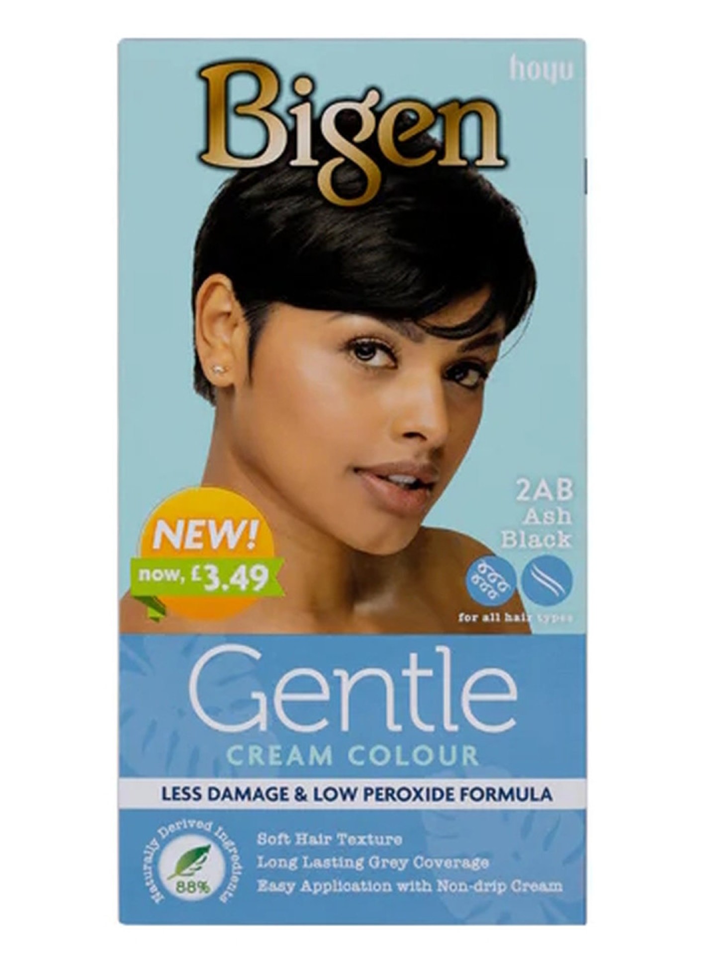 Bigen Gentle Cream Ash Black 2AB