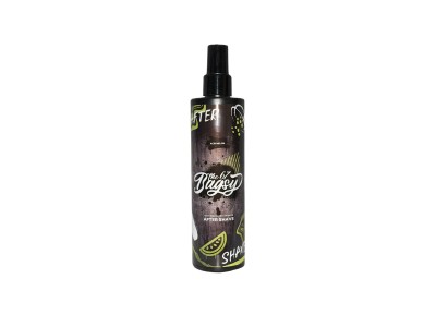 The 67 Bagsy After Shave 250ml - Image product