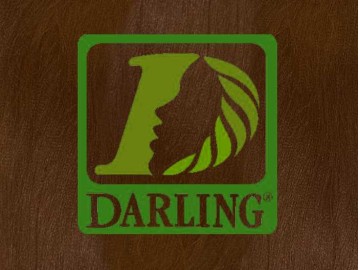 Darling Xpression - T30