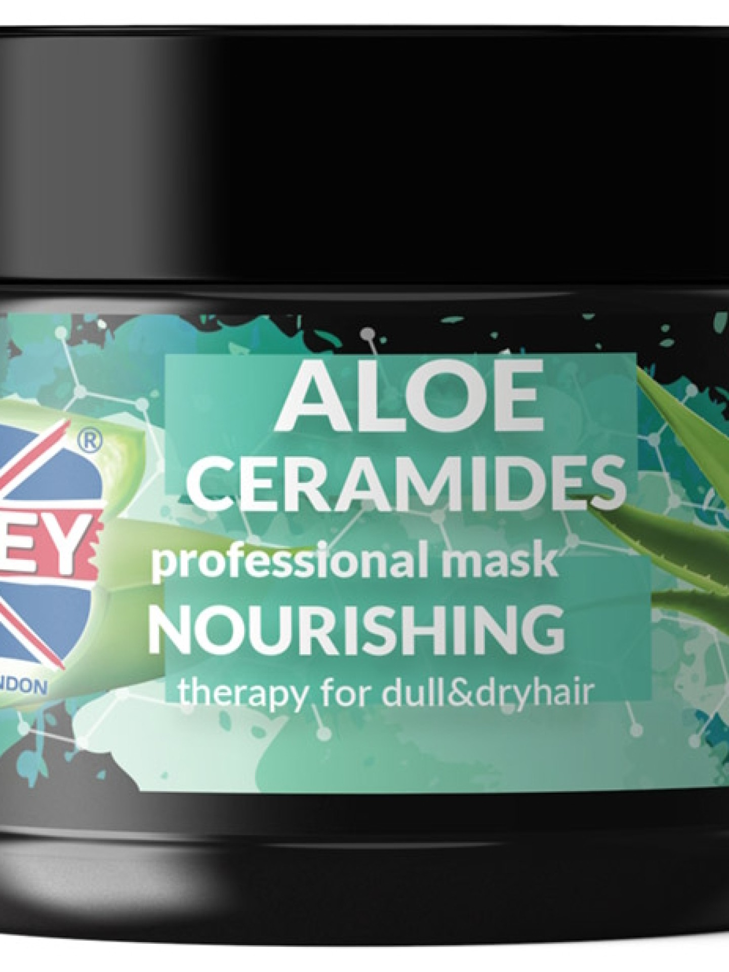 Ronney Máscara Aloe Vera e Ceramidas 300ml