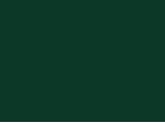 TBLUEFONCE