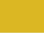 T2 Jaune