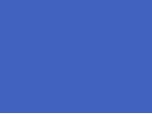 T2/Bleu