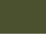 TVERT OLIVE