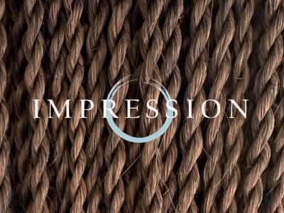 Impression Havana Long Senegal Twist - T30 - Image product
