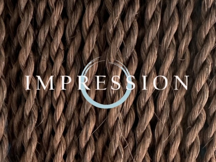 Impression Havana Long Senegal Twist - T30