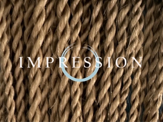 Impression Havana Long Senegal Twist - 27