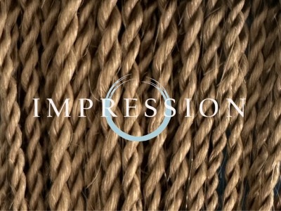 Impression Havana Long Senegal Twist - 27 - Image product
